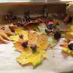 IMG_20211015_125141204~3.jpg
