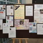 thumbnail_IMG20241008154855.jpg