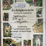 dddddddddd_2026-06-13_21:09:17.jpg